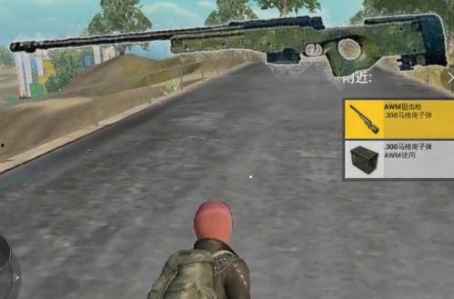 和平精英背包最新爆料,海量爆料来袭,全新道具等你探索