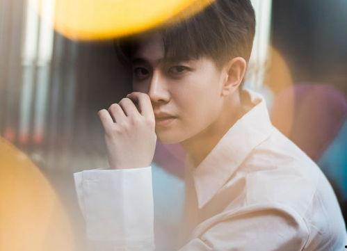 邢菲最新爆料新闻视频播放,揭秘幕后故事,视频播放引发热议